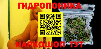 крисы Камышлов