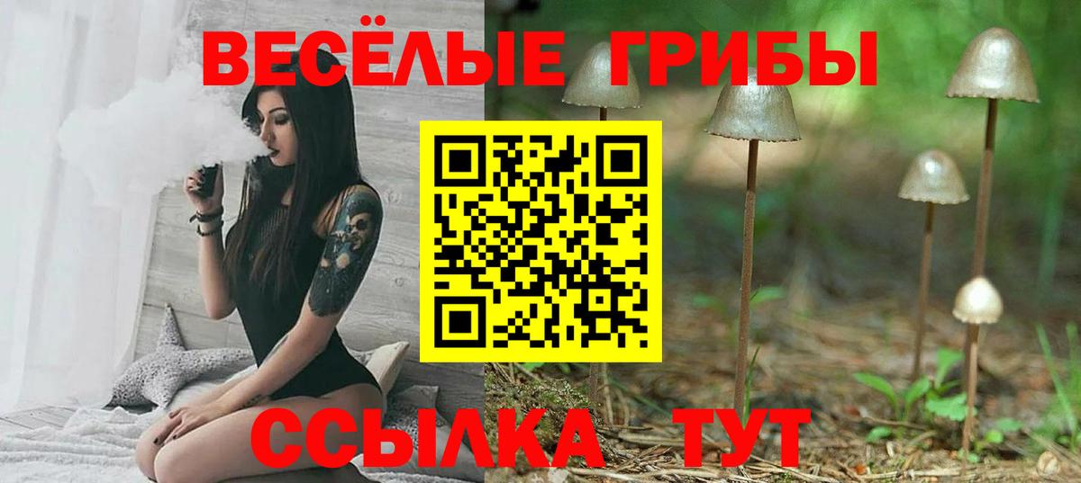 Псилоцибиновые грибы Psilocybe Электрогорск