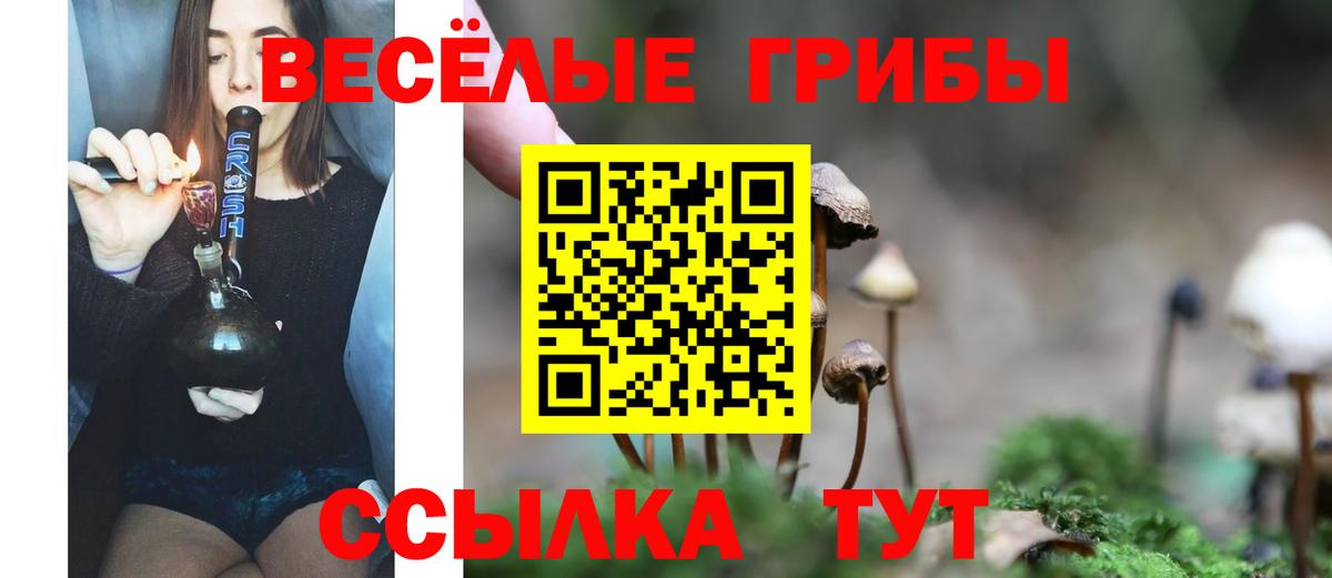 Электрогорск  Псилоцибиновые грибы Psilocybine cubensis  Вход с VPN 